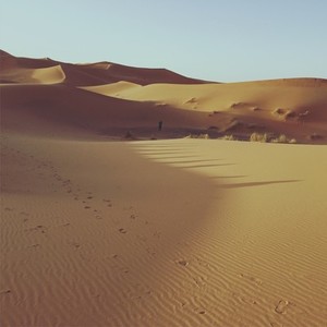 Sand dunes  Sahara