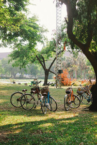 Bicycle in public park