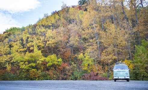 VW Bus in Fall Trees