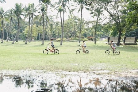 cycling in the park