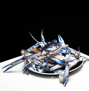 Fresh Blue swimmer crab