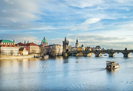 The view over the Vltava river Charles bridge and white swans f