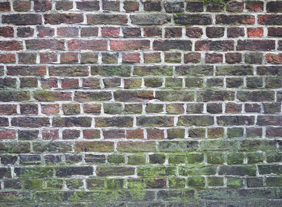 Colorful and mossy brick wall texture