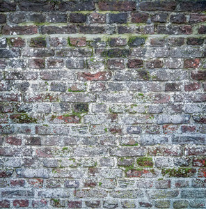 Mossy and sloppy brick wall texture