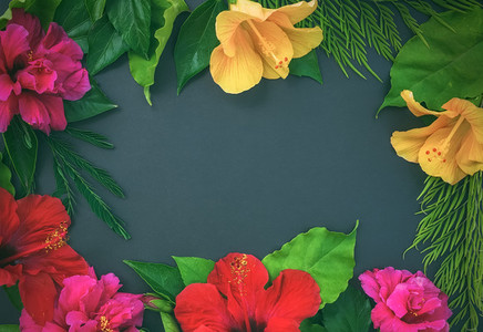 Frame of flowers  hibiscuses  dof roses  and green leaves o