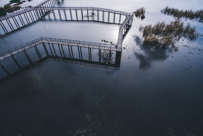 Wetlands Walkway
