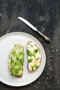 Avocado  ricotta  basil and sprout sandwiches on white ceramic plate over dark grunge backdrop  top view