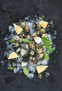 Fresh uncooked clams with lemon  herbs and spices on chipped ice over dark slate stone backdrop