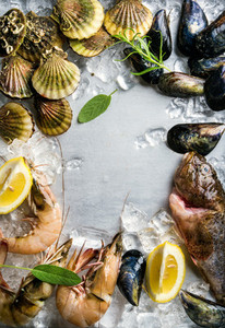 Fresh seafood with herbs and lemon on ice  Prawns  fish  mussels  scallops over steel metal background  Top view  copy space