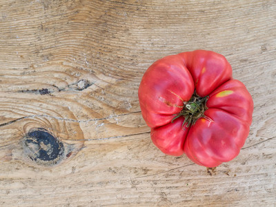Ripe tomato on wooden desk