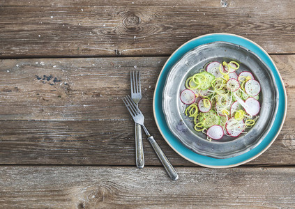 Spring salad with leek radish and cucumber in vintage metal plate