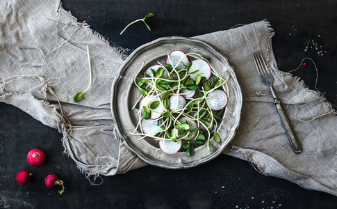 Spring salad with sunflower sprouts and radish in vintage metal plate
