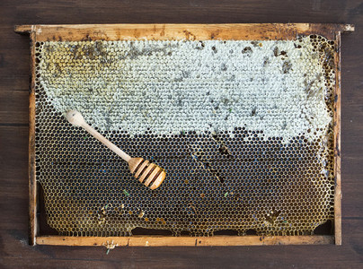 Fresh organic village honey in honeycombs with stick
