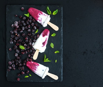 Black currant milk ice creams or popsicles with frozen black currant and mint on black slate tray over dark grunge backdrop top view