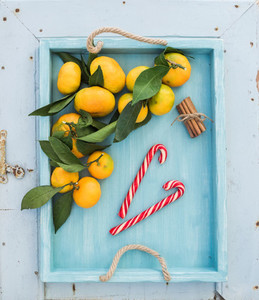 Fresh tangerines with leaves cinnamon sticks and Christmas candy canes in turquoise tray over blue rustic wooden backdrop top view