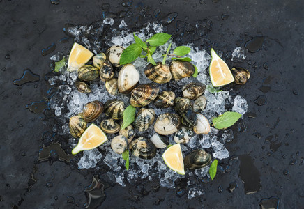 Fresh uncooked clams with lemon herbs and spices on chipped ice over dark slate stone backdrop
