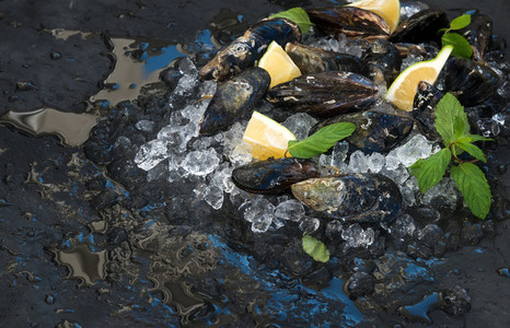 Fresh uncooked mussels with lemon  herbs and spices on chipped ice over dark slate stone backdrop