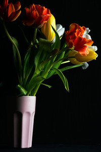 Beautiful flower bouquet of colorful tulips in pink vase on black background