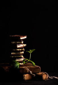 Triple layered chocolate pieces stack or tower with branch of fresh mint on black background