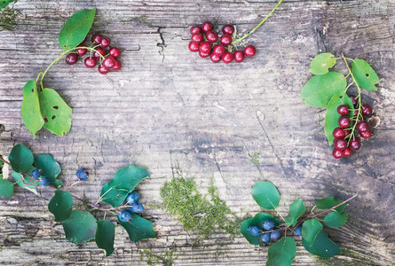 Rustic wooden board with forest berries branchlets