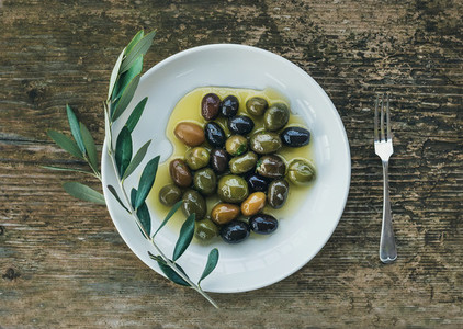 A plate of Mediterranean olives in olive oil with a branch of ol
