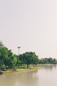 Lake in the spring park