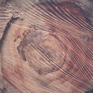 tree rings and saw scores