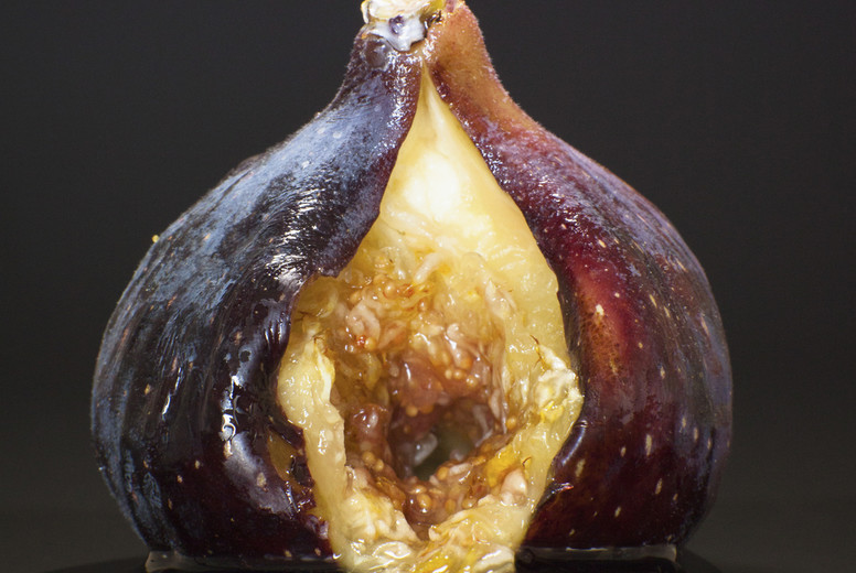 Conspicuous Consumption #04