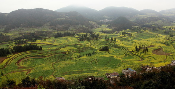 Terraced field in Yunnan  China