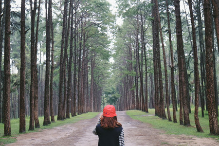 Woman standing on path in forest