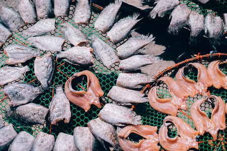 Fish Market 04