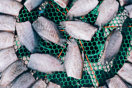 Fish Market 05