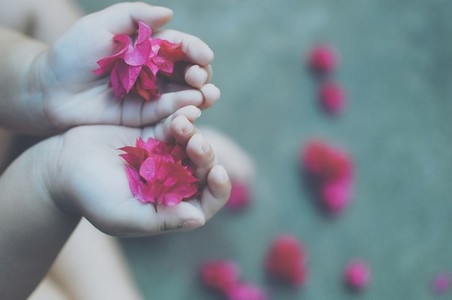 Child holding pink flowers