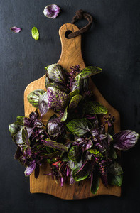 Violet basil bunch on wooden chopping board