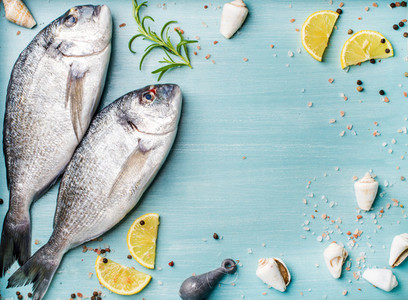 Fresh raw sea bream fish decorated with lemon slices  herbs and  shells on blue wooden background  copy space