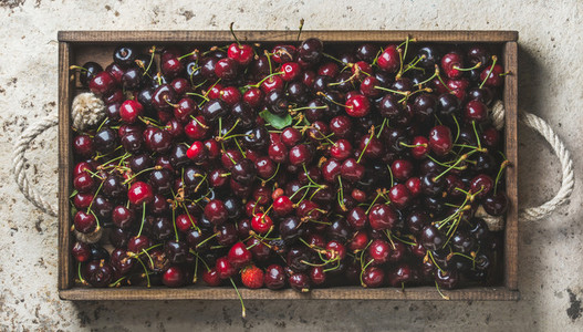 Sweet cherries in rustic wooden tray over light concrete background