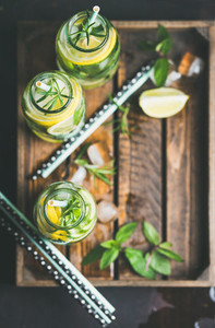 Citrus and herbs infused sassi water in tray  copy space