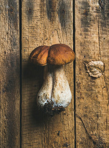 Fresh uncooked white forest mushroom on rustic wooden background