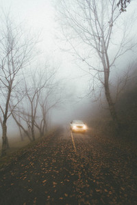 Car driving on foggy forest road