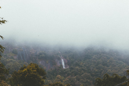 Waterfall in misty forest