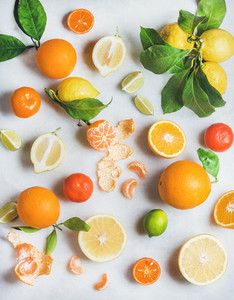 Variety of fresh citrus fruit for making healthy smoothie