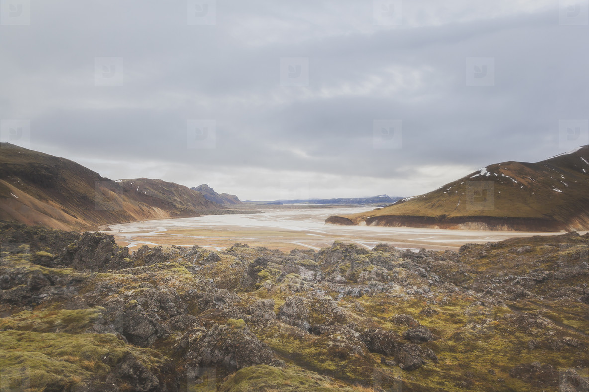 Icelandic Highland  12