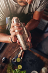 Bartender mixing drink in cocktail shaker