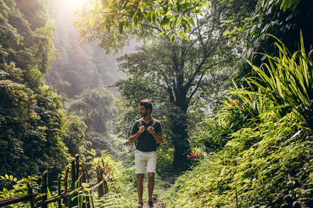 Man hiking in lush rainforest