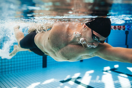 Professional male swimmer swimming in pool