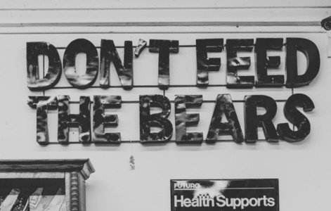 Dont039  Feed The Bears