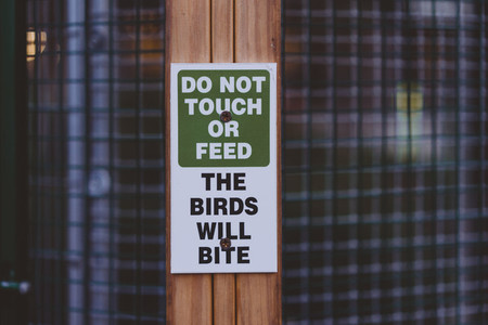 Dont039  Feed The Birds