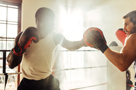 Light flare in gym with boxer training