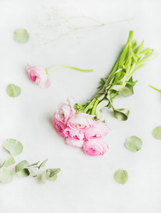 Light pink spring ranunkulus flowers on marble background top view
