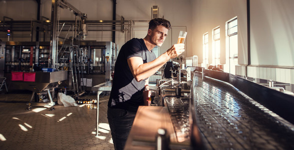 Brewery factory owner examining the quality of craft beer